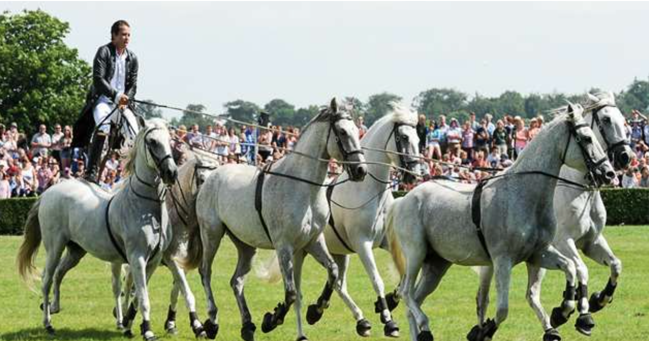 The Great Yorkshire Show 2024/2025 Coach Holidays
